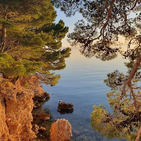Apartment Miskovic Makarska Buitenkant foto