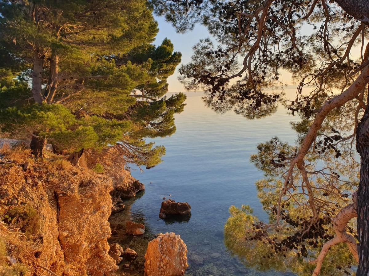 Apartment Miskovic Makarska Buitenkant foto
