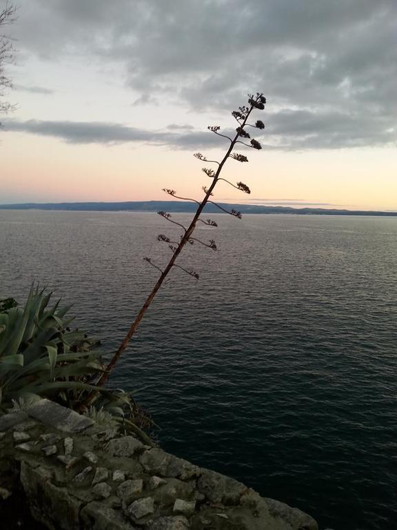 Apartment Miskovic Makarska Buitenkant foto